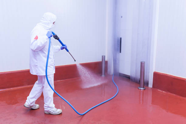 Best House Exterior Washing  in Dixon Lane Meadow Creek, CA